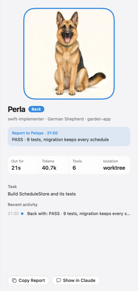 The focus view for Perla: a large picture of the dog, status Back, her report, tokens and tools.